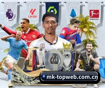 mk体育网站 APP